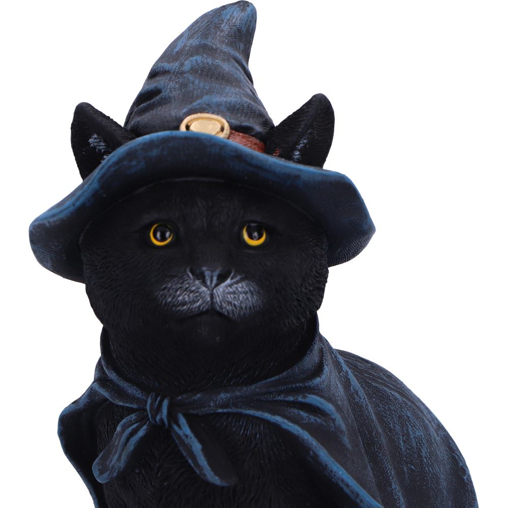 Bewitching