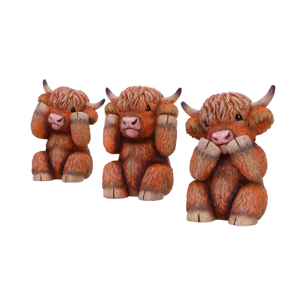 Three Wise Highland Cows  9.6cm