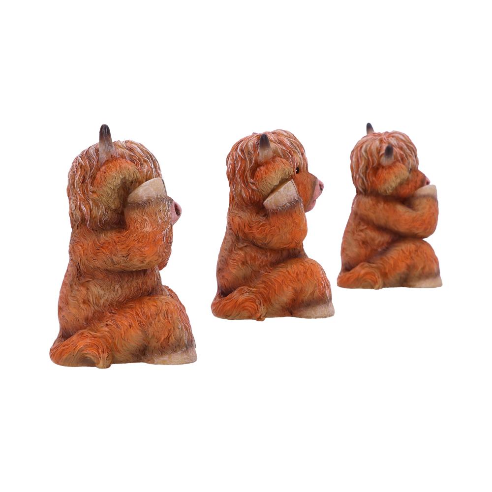 Three Wise Highland Cows  9.6cm