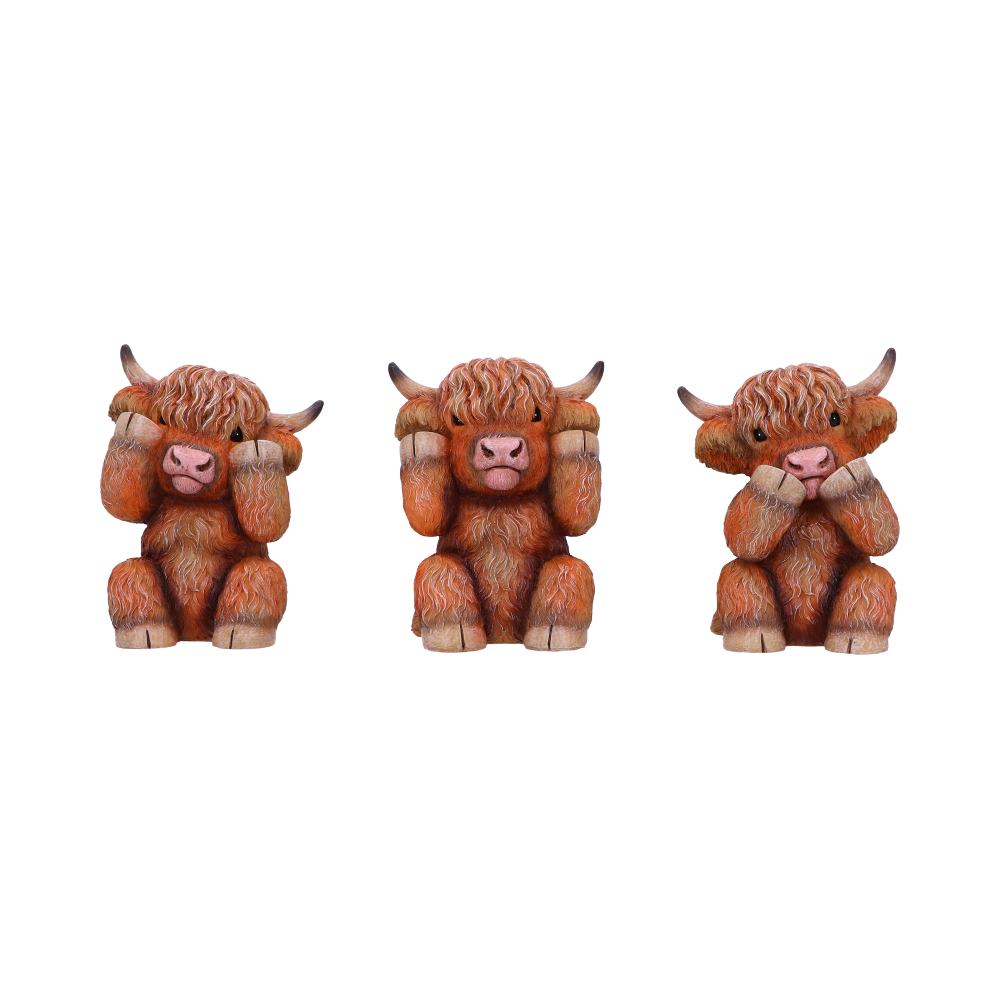 Three Wise Highland Cows  9.6cm