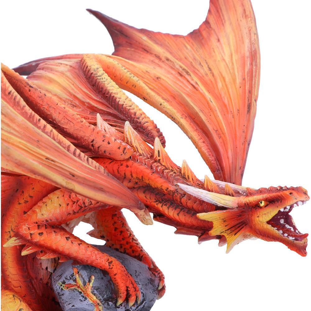 Fire Dragon - Adult  24.5cm  Anne Stokes