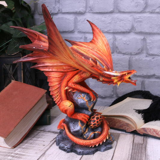 Fire Dragon - Adult  24.5cm  Anne Stokes