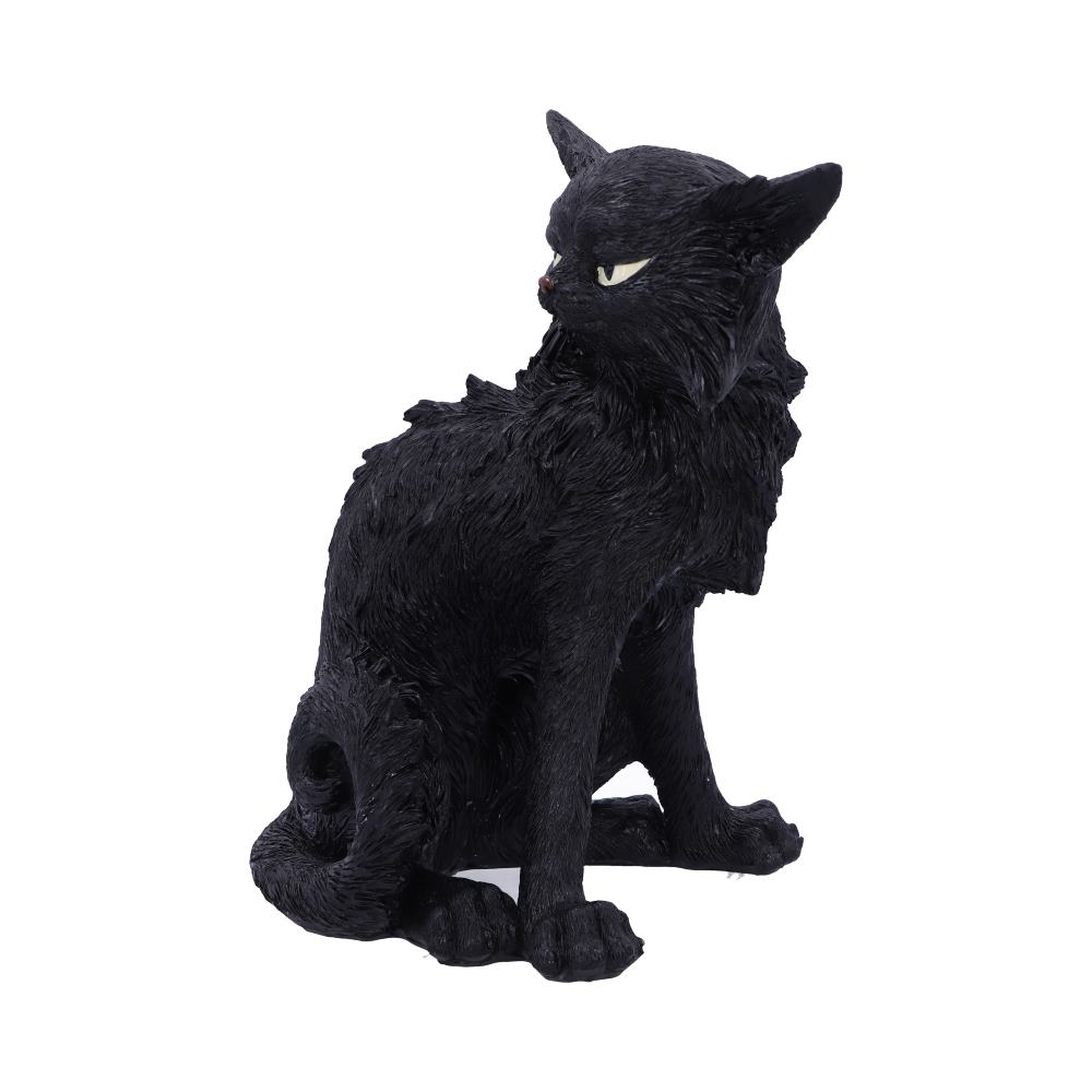 Salem  19.6cm