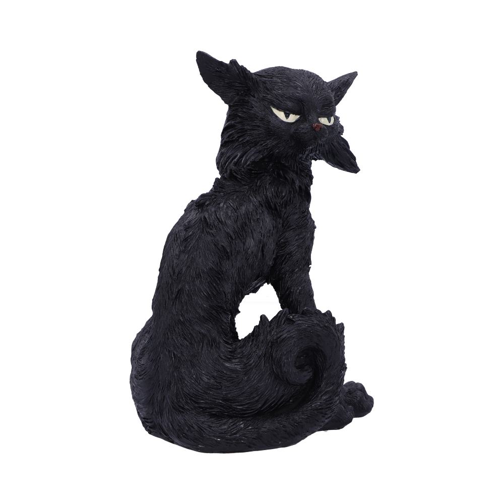 Salem  19.6cm