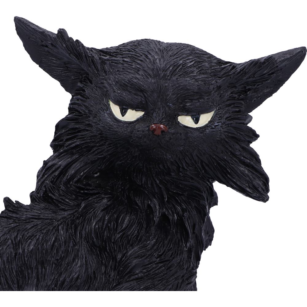 Salem  19.6cm