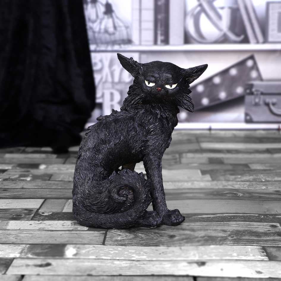 Salem  19.6cm