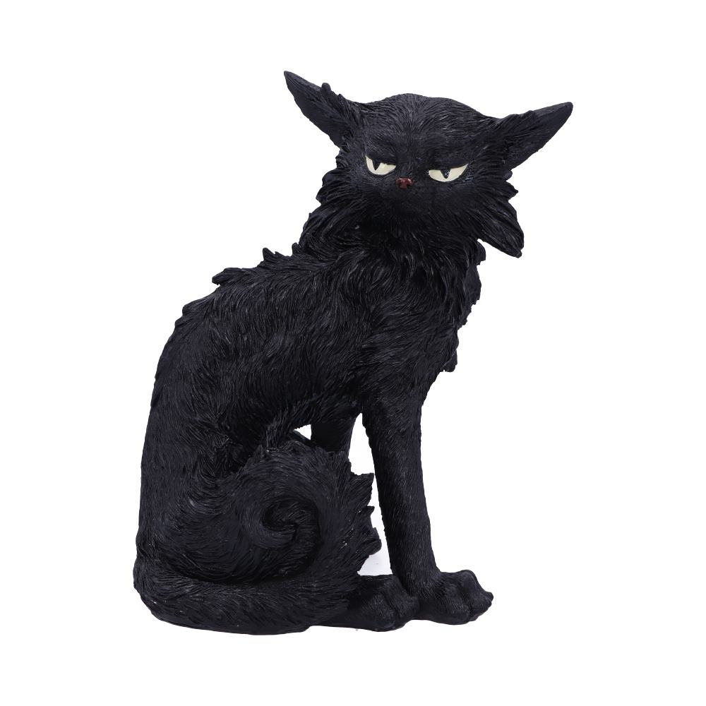 Salem  19.6cm