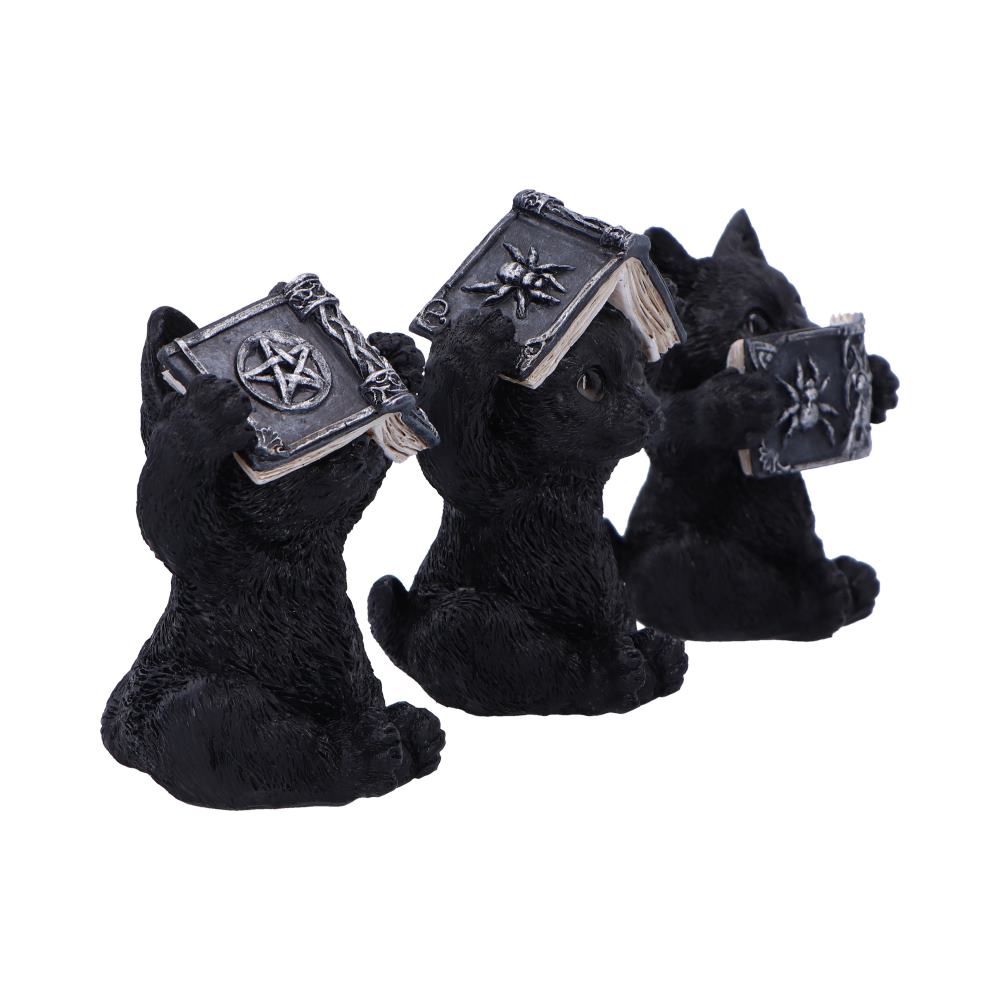 Three wise spell cats  8.5cm