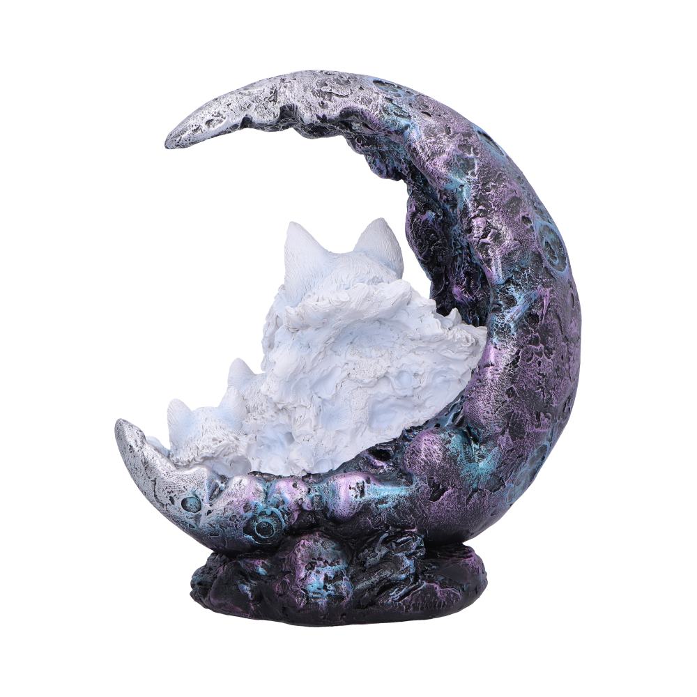 Winter Moon 20cm