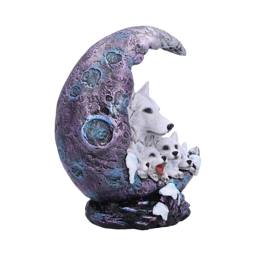 Winter Moon 20cm