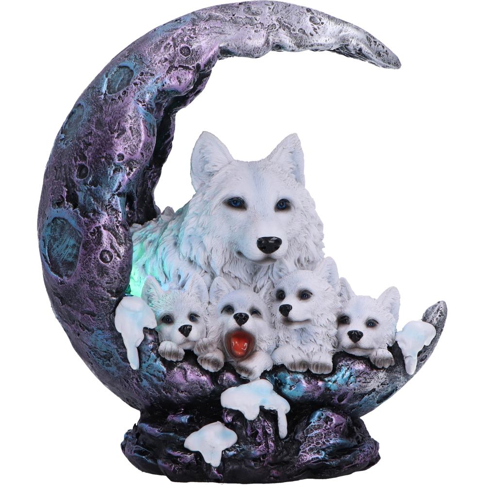 Winter Moon 20cm